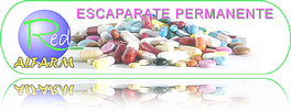 Escaparate Permanente